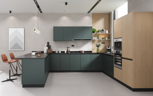 Dark & Green Modular Cabinets Paired with Woods